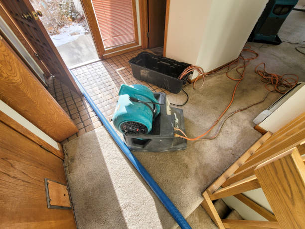 Best Ceiling and Wall Water Damage Repair in Paris, IL