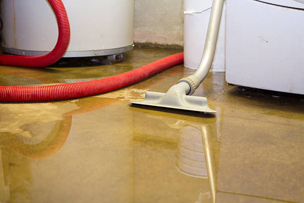 Best Carpet and Upholstery Water Damage Restoration in Paris, IL