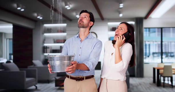 Reliable Paris, IL Water damage restoration Solutions